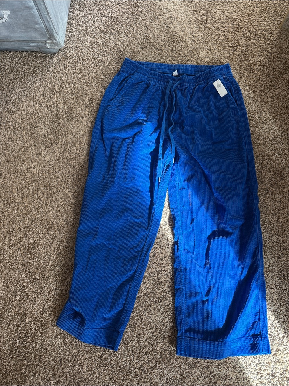 NWT Old Navy Royal Blue corduroy women’s drawstring pants.